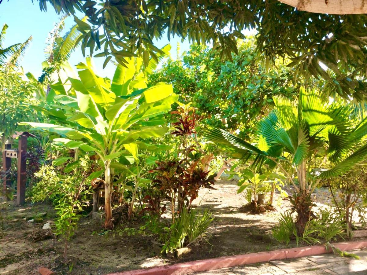 Branca Tropical Brasil Residencial- Taperapuan Villa Porto Seguro Eksteriør billede